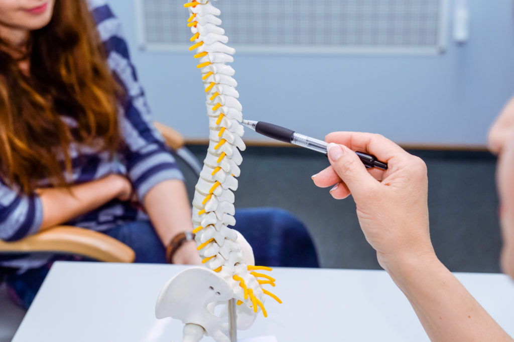 Closeup medical doctor woman pointing on spine model and explaining female patient her problem. Healthcare concept
